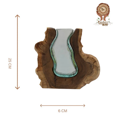 Timber kala's medium valley curve glass roots for decor