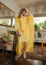 Shivanya in Honey Applique Kurta Set