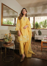 Shivanya in Honey Applique Kurta Set