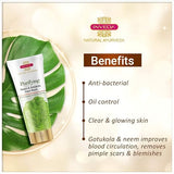 Inveda Purifying Neem & Gotukola Face Wash for Removing Pimples Scar and Blemishes, Giving Clear, Glowing Skin, 100ml